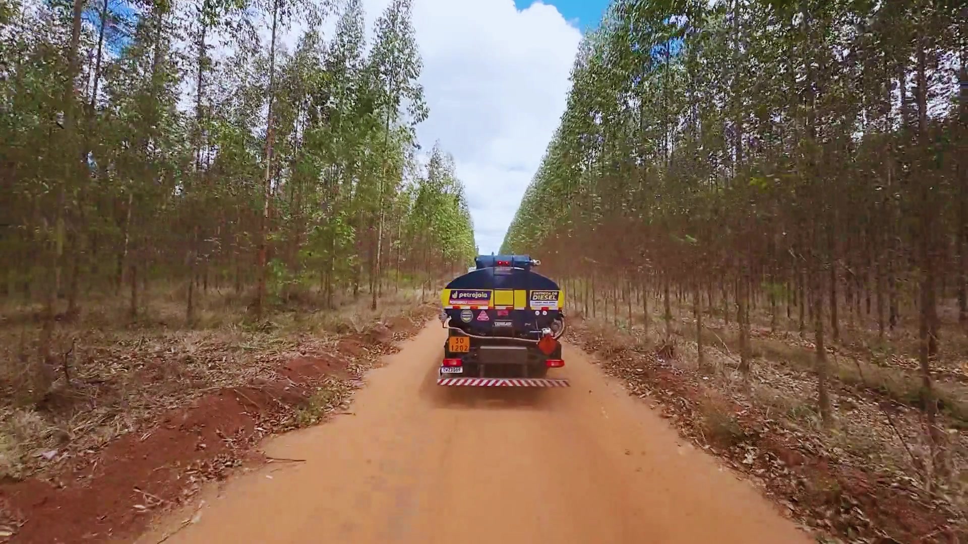 Caminhão-tanque Petrojoia em corredor de eucalipto